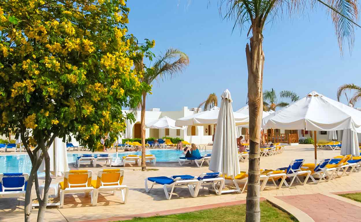 picture-of-pool-area-at-diamond-resorts-international-resort-with-umbrellas-and-palm-trees