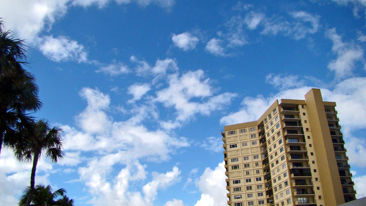 looking-up-at-sky-hotel-in-vantage-point-shaded-trees-at-resort-property-in-florida-for-timeshare-story-by-voc